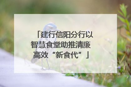 建行信阳分行以智慧食堂助推清廉高效“新食代”