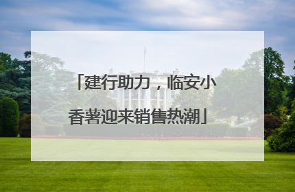 建行助力，临安小香薯迎来销售热潮