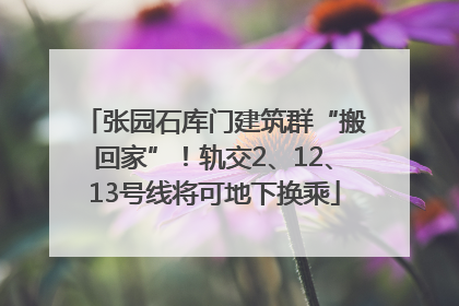 张园石库门建筑群“搬回家”！轨交2、12、13号线将可地下换乘