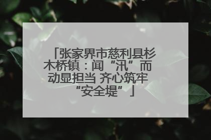 张家界市慈利县杉木桥镇：闻“汛”而动显担当 齐心筑牢“安全堤”
