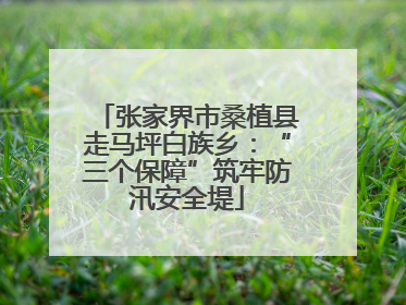 张家界市桑植县走马坪白族乡：“三个保障”筑牢防汛安全堤