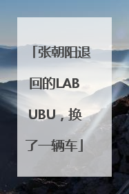 张朝阳退回的LABUBU，换了一辆车