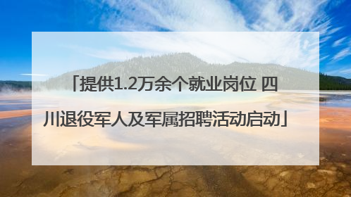 提供1.2万余个就业岗位 四川退役军人及军属招聘活动启动