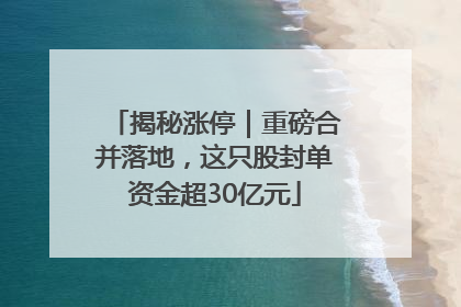 揭秘涨停｜重磅合并落地，这只股封单资金超30亿元