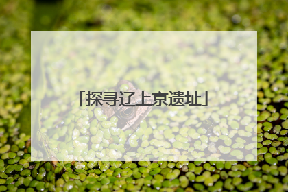 探寻辽上京遗址