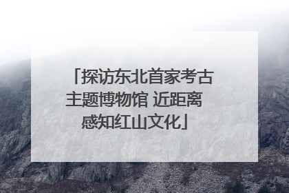 探访东北首家考古主题博物馆 近距离感知红山文化