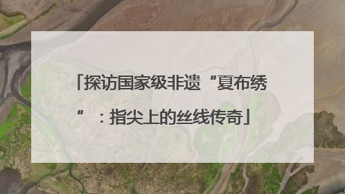 探访国家级非遗“夏布绣”：指尖上的丝线传奇