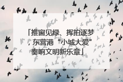 推窗见绿、挥拍逐梦，东营港“小城大爱”奏响文明新乐章