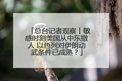 总台记者观察丨敏感时刻美国从中东撤人 以色列对伊朗动武条件已成熟？