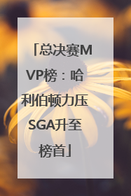 总决赛MVP榜：哈利伯顿力压SGA升至榜首