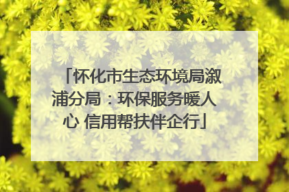 怀化市生态环境局溆浦分局：环保服务暖人心 信用帮扶伴企行