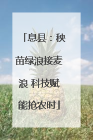 息县：秧苗绿浪接麦浪 科技赋能抢农时