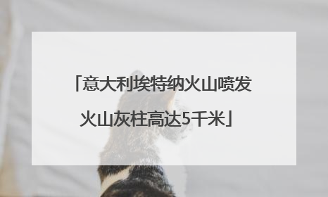 意大利埃特纳火山喷发 火山灰柱高达5千米