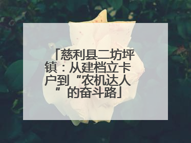 慈利县二坊坪镇：从建档立卡户到“农机达人”的奋斗路