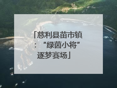 慈利县苗市镇：“绿茵小将”逐梦赛场