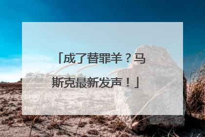 成了替罪羊？马斯克最新发声！