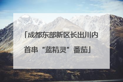 成都东部新区长出川内首串“蓝精灵”番茄