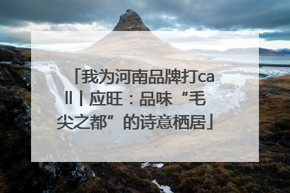 我为河南品牌打call丨应旺：品味“毛尖之都”的诗意栖居