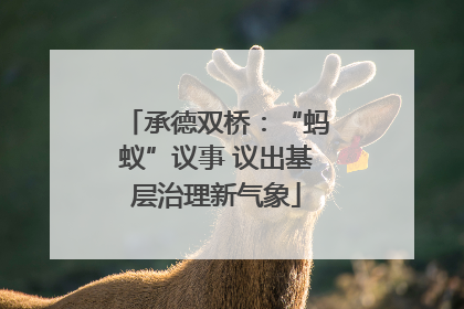 承德双桥：“蚂蚁”议事 议出基层治理新气象