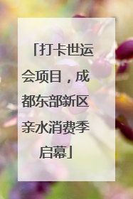 打卡世运会项目，成都东部新区亲水消费季启幕