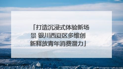 打造沉浸式体验新场景 银川西夏区多维创新释放青年消费潜力