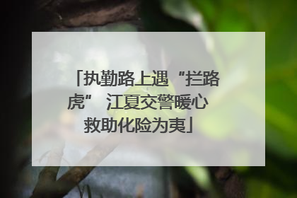 执勤路上遇“拦路虎” 江夏交警暖心救助化险为夷