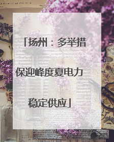 扬州：多举措保迎峰度夏电力稳定供应