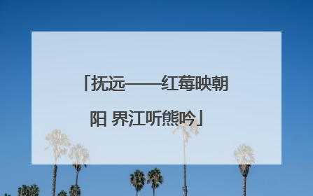 抚远——红莓映朝阳 界江听熊吟