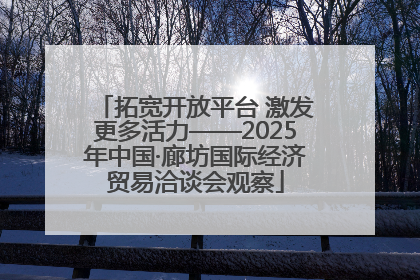 拓宽开放平台 激发更多活力——2025年中国·廊坊国际经济贸易洽谈会观察
