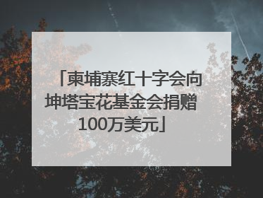 柬埔寨红十字会向坤塔宝花基金会捐赠100万美元