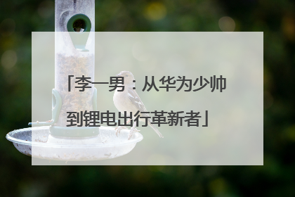 李一男：从华为少帅到锂电出行革新者