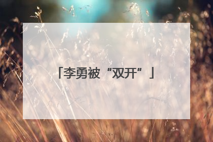 李勇被“双开”