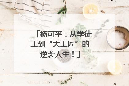 杨可平：从学徒工到“大工匠”的逆袭人生！