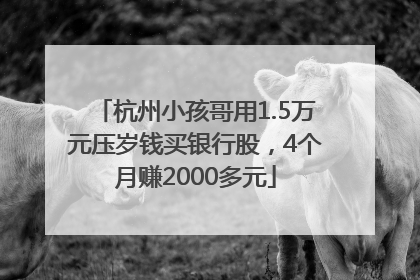 杭州小孩哥用1.5万元压岁钱买银行股，4个月赚2000多元