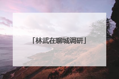林武在聊城调研