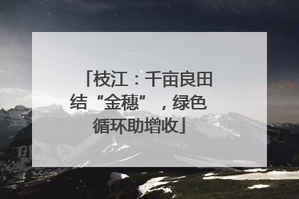 枝江：千亩良田结“金穗”，绿色循环助增收