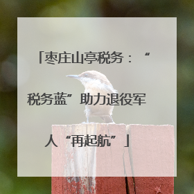枣庄山亭税务：“税务蓝”助力退役军人“再起航”