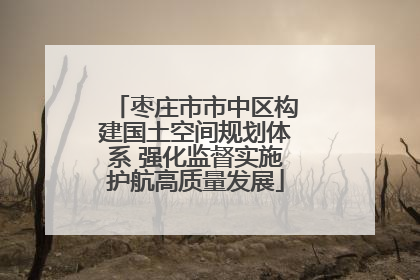 枣庄市市中区构建国土空间规划体系 强化监督实施护航高质量发展