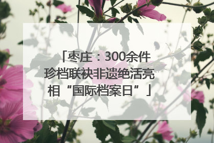 枣庄：300余件珍档联袂非遗绝活亮相“国际档案日”
