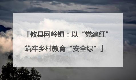 攸县网岭镇：以“党建红”筑牢乡村教育“安全绿”