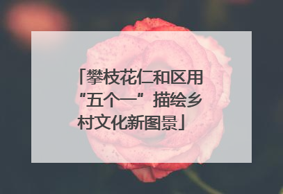 攀枝花仁和区用“五个一”描绘乡村文化新图景