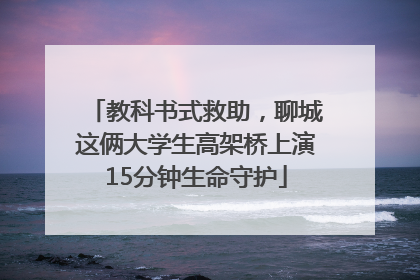 教科书式救助，聊城这俩大学生高架桥上演15分钟生命守护