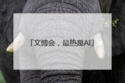 文博会，最热是AI