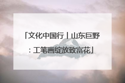 文化中国行丨山东巨野：工笔画绽放致富花