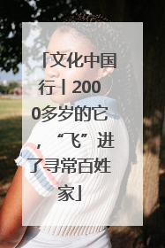 文化中国行丨2000多岁的它，“飞”进了寻常百姓家