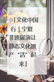 文化中国行｜宁夏 非遗展演让静态文化遗产“活”起来