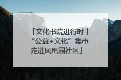 文化书院进行时丨“公益+文化”集市走进凤凰园社区
