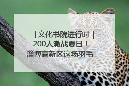 文化书院进行时｜200人激战夏日！淄博高新区这场羽毛球比赛太酷