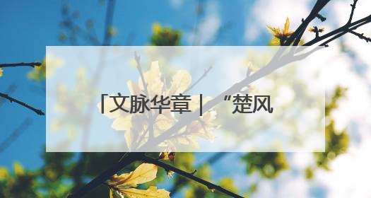 文脉华章｜“楚风屈韵”国潮端午游点燃秭归夜经济