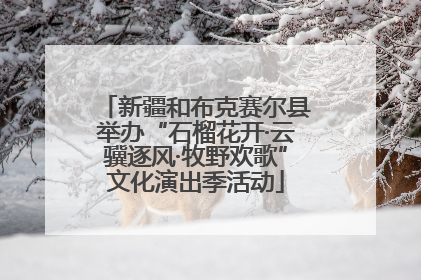 新疆和布克赛尔县举办“石榴花开·云骥逐风·牧野欢歌”文化演出季活动